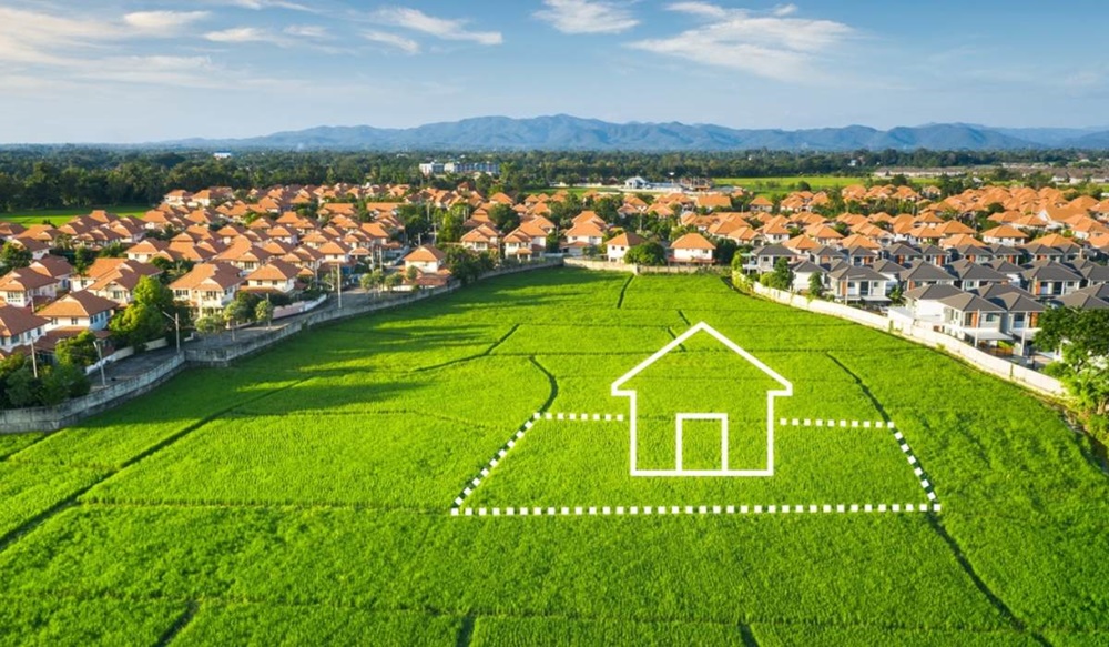 Freehold Property