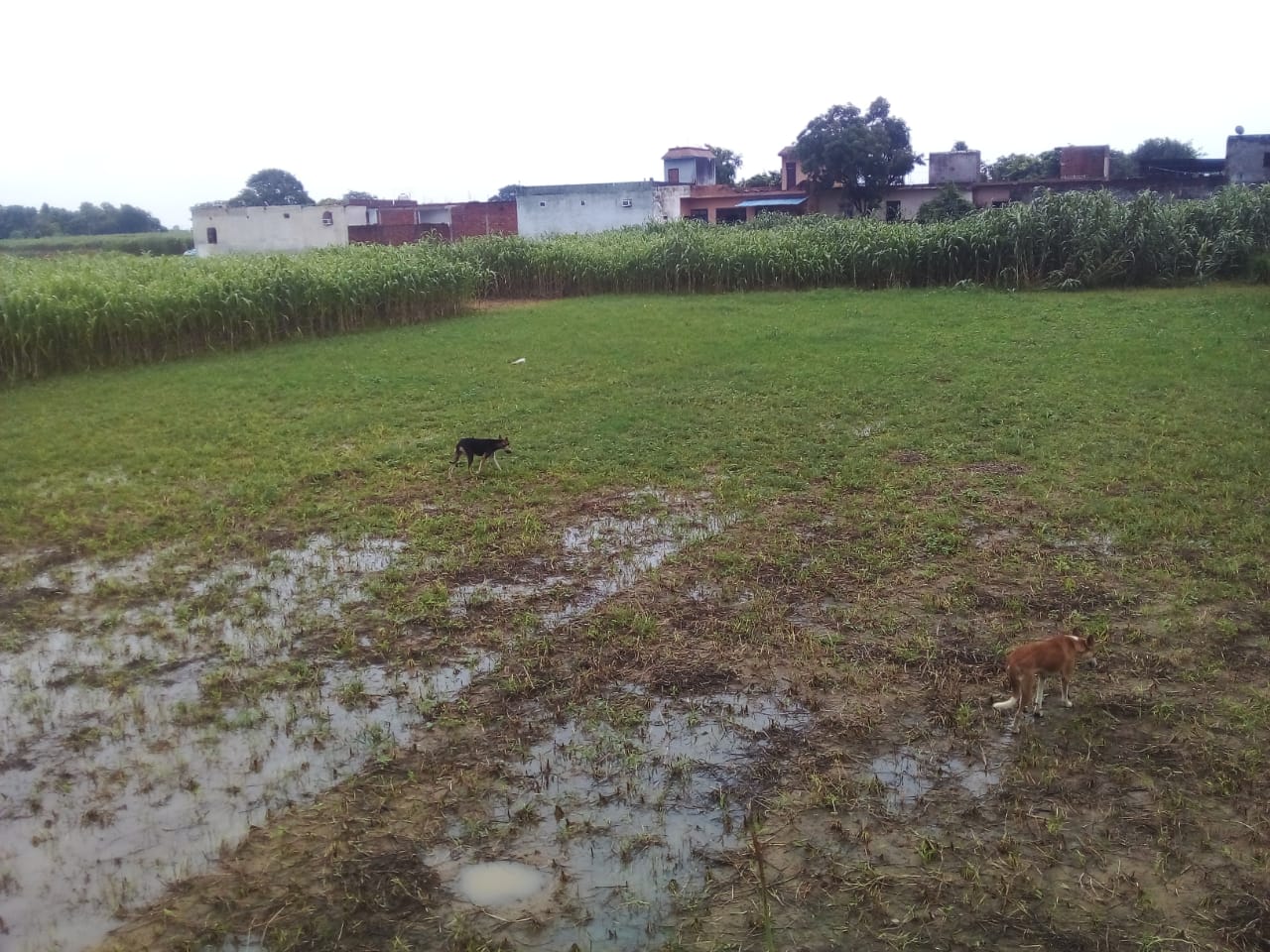 Urban Nest Realty Urban Nest Realty