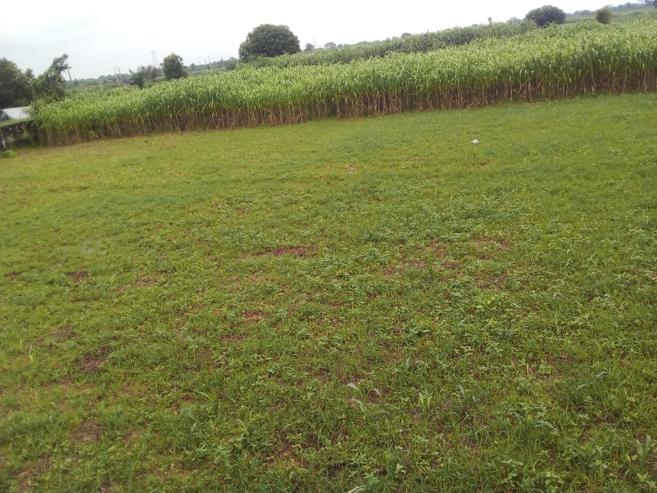 Urban Nest Realty Urban Nest Realty