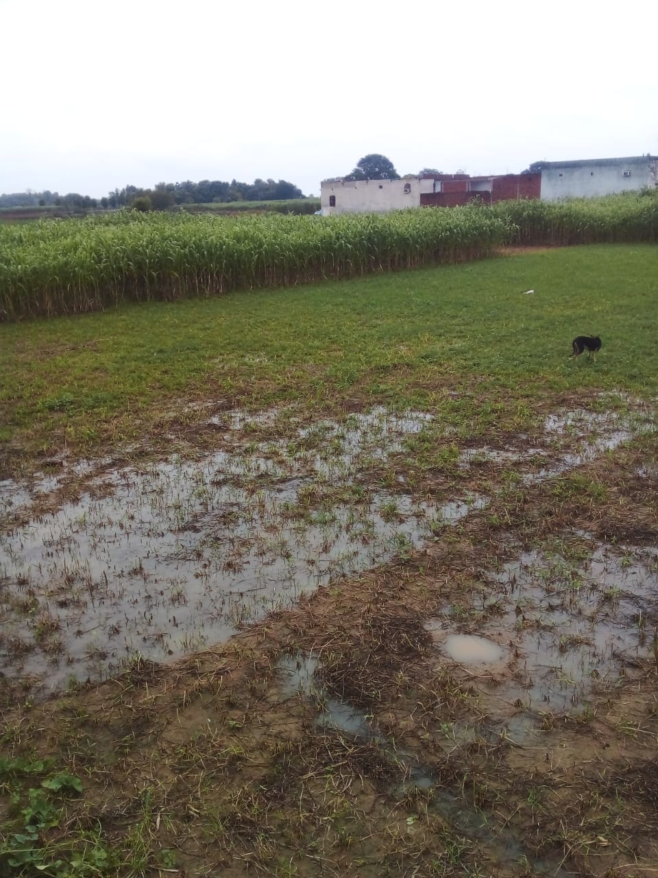 Urban Nest Realty Urban Nest Realty