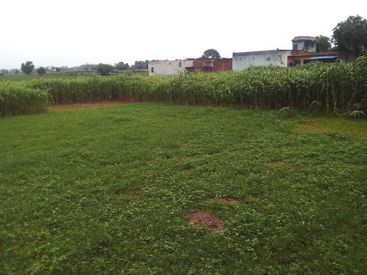 Urban Nest Realty Urban Nest Realty