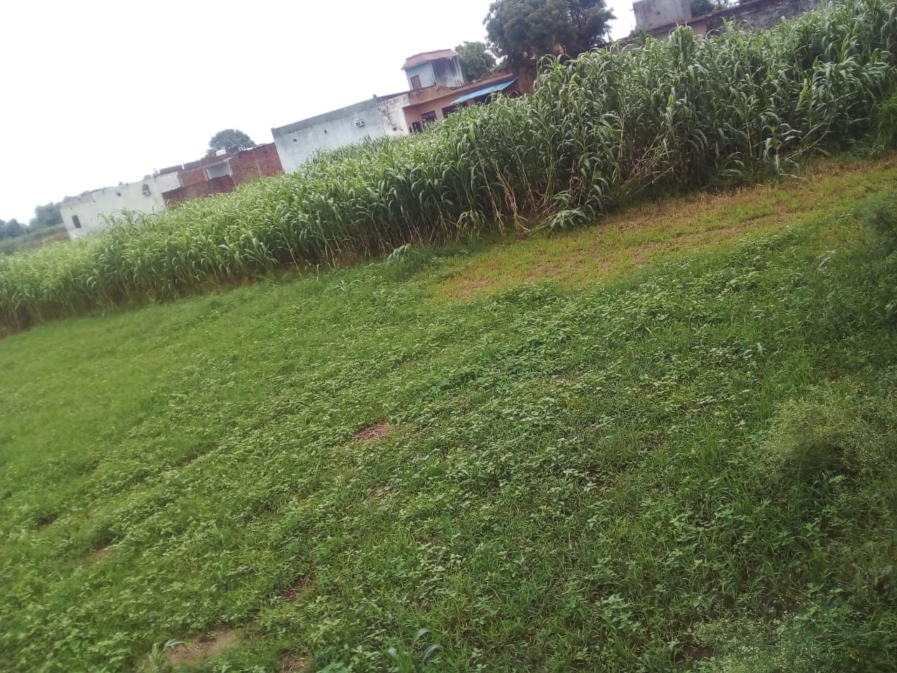 Urban Nest Realty Urban Nest Realty